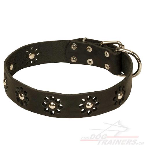 leder
halsband blumen schweiz