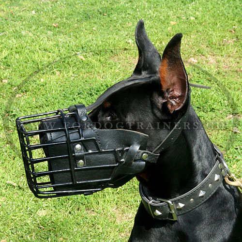 Maulkorb fr Dobermann
gepolstert Stoarbeit, Hundeshop Schweiz