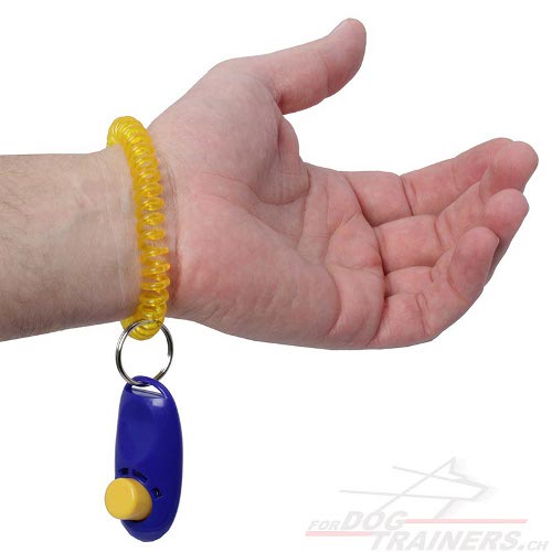 clicker hunde schweiz