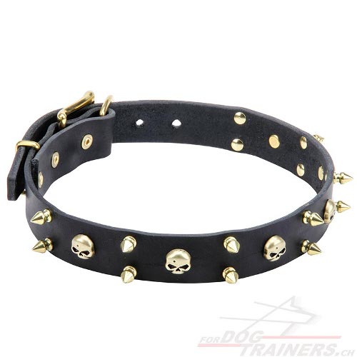 hunde halsbnder
totenkopf kaufen