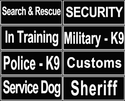 Klett-Logo hundehalsband schweiz