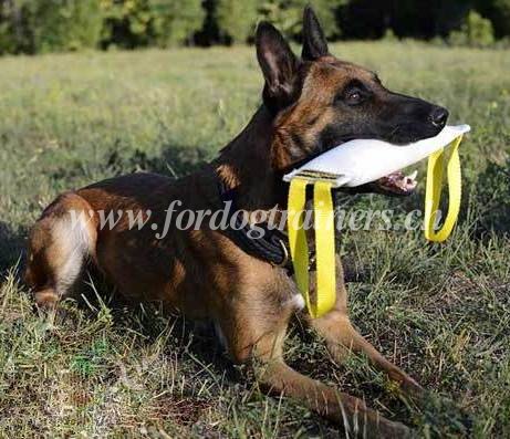 beisswurst Feuerwehrschlauch Malinois schweiz kaufen