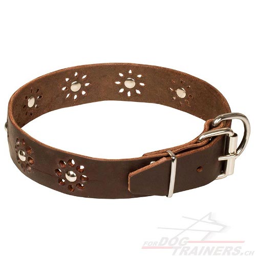 Hundehalsband mit Blumen bestellen
