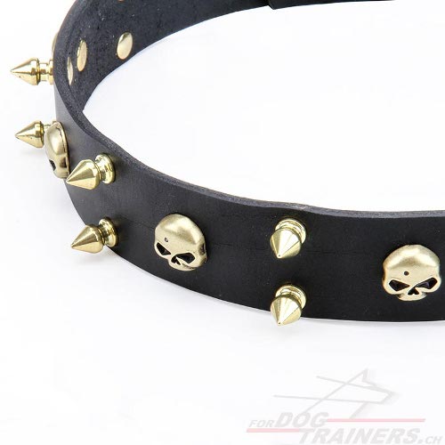 Hundehalsband mit krftigem Design