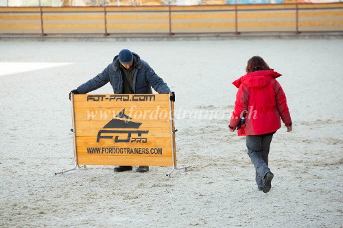 hunde Sprunghrde agility training schweiz