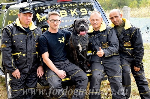 anzug hundetrainer genf kaufen