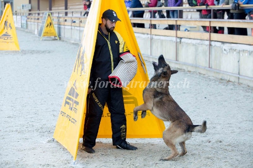 Hundesport Kleidung agility training schweiz