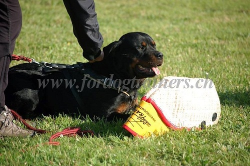 rottweiler training hetzarm jute schweiz kaufen