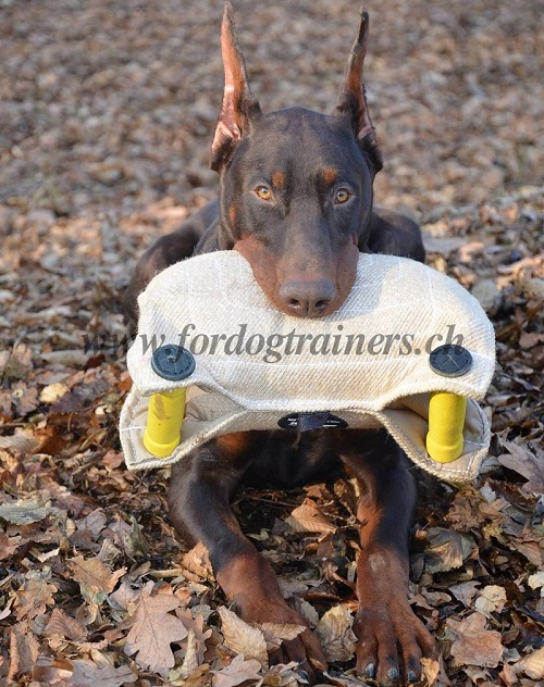 beiarm jute dobermann kaufen
