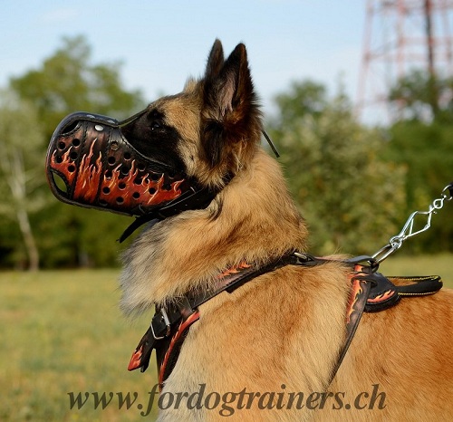 bemalter leder Hundemaulkorb, Tervueren maulkorb
leder
