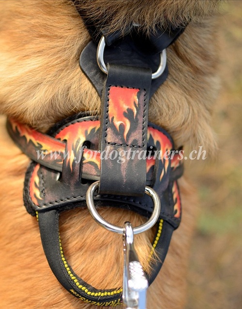 Hundegeschirr Leder bemalt fr tervueren