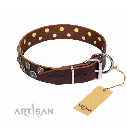 Hundehalsband braun mit verzierung fdt artisan
