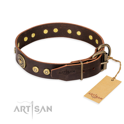Hundehalsband braun messing ovale und kreise schweiz