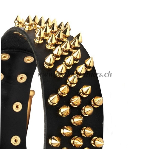 halsband hund luxus design messing spikes schweiz