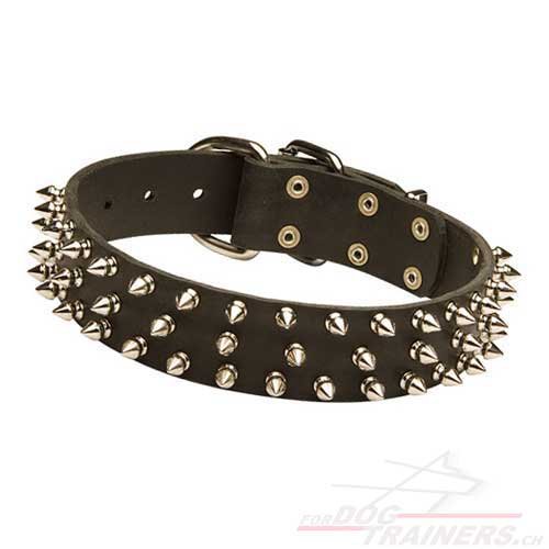Hunde Halsband Leder breit mit spikes