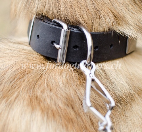 halsband tervueren bestellen