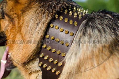 Groartiges Leder Halsband
fr Schferhund bestellen