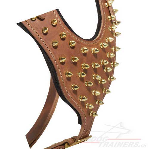 leder geschirr nach ma spikes