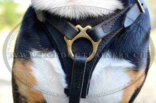 Leder Hundegeschirr bestellen Trekking