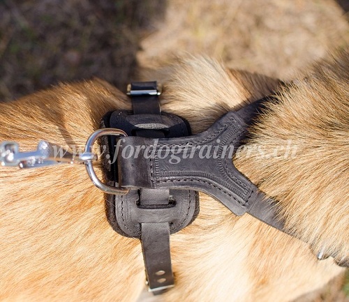 hundegeschirr leder weich nach ma