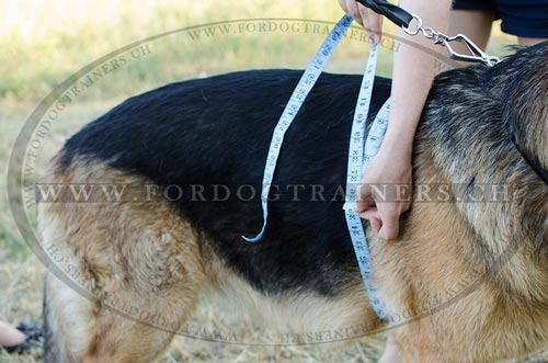 Stilvolles Leder Hundegeschirr fr Schferhund Schweiz