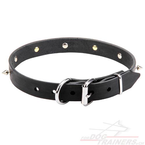 leder halsband Totenkpfen d-ring schweiz