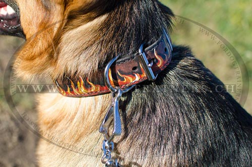 bemaltes Flamme Lederhalsband fr
deutschen Schferhund bestellen