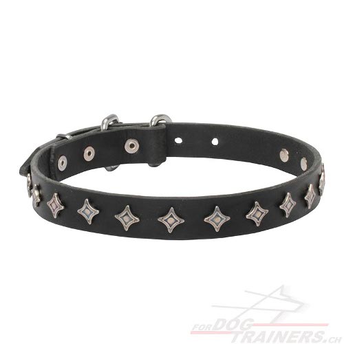 halsband leder sterne handarbeit schweiz