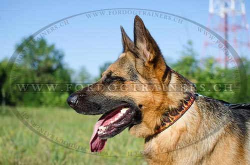 Handbemaltes Leder Hundehalsband fr
deutschen Schferhund kaufen