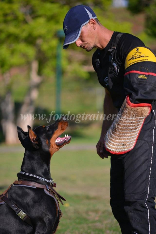 dobermann geschirr hochwertig IGP