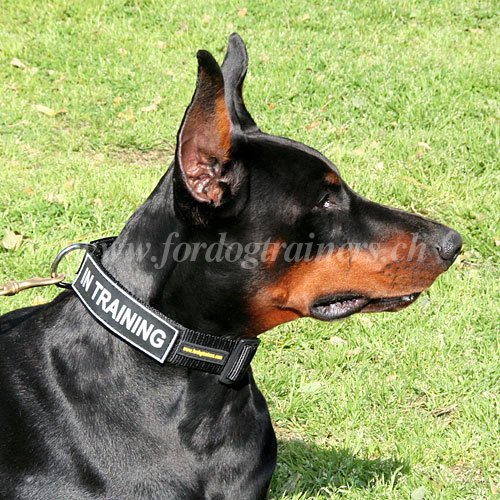 nylon halsband Dobermann handgemacht