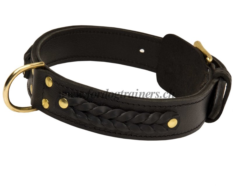 Halsband Geflochten fr Bullterrier - 66.0