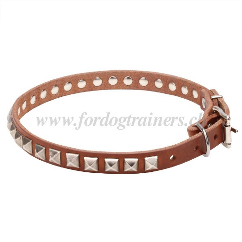 handgemachtes halsband leder schweiz