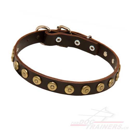 leder halsband messing d-ring schweiz