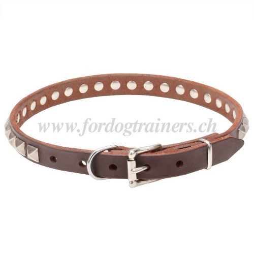 edles halsband leder rundgenht schweiz