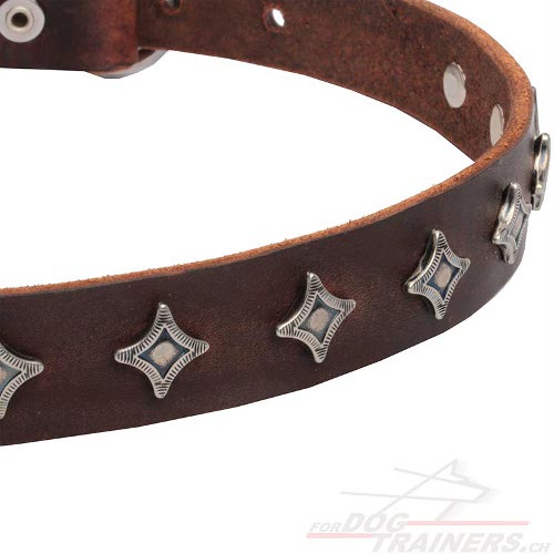 handgemachtes halsband leder sterne schweiz