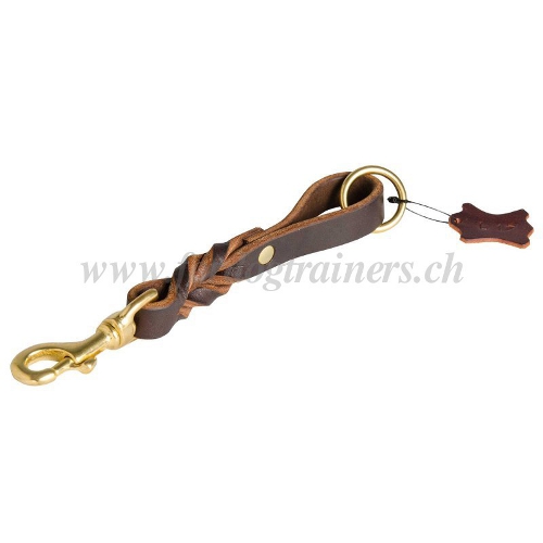 leine leder schlaufe Geflochten schweiz