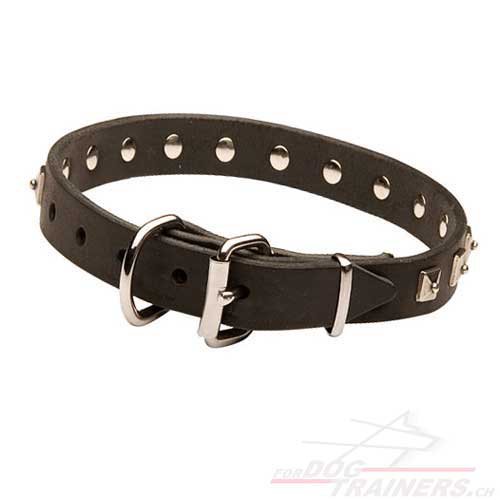 Buy Studded Collar leather Switzerland