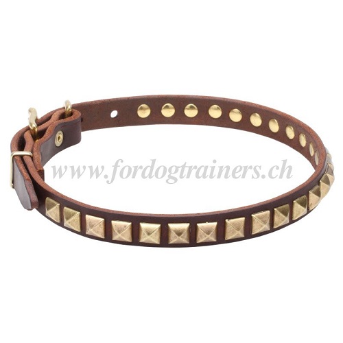 collar leather brass pyramids Switzerland