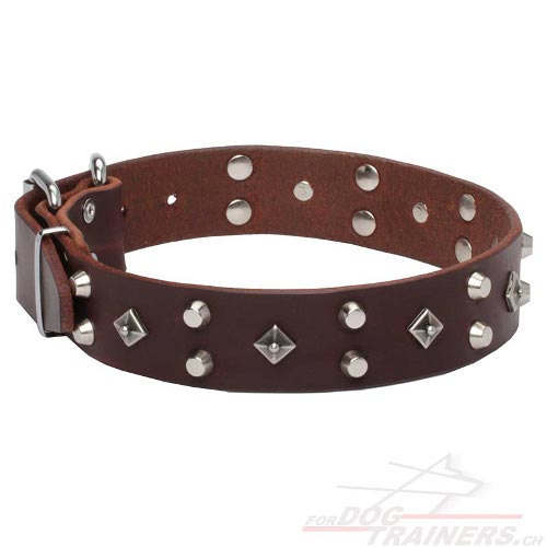 exklusives hundehalsband leder dekoration