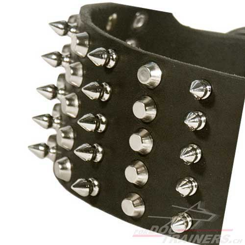 leder Hunde halsband extra breit nieten und spikes