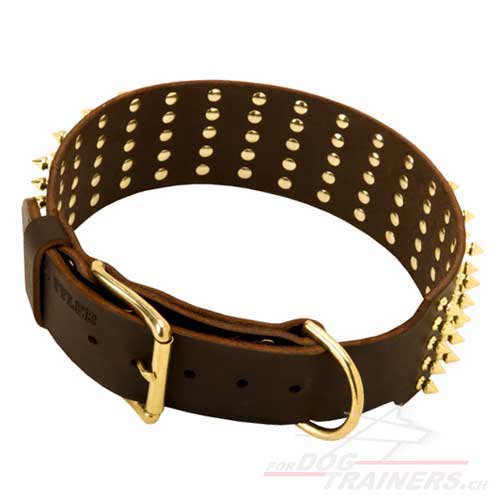 leder Halsband extra breit schweiz