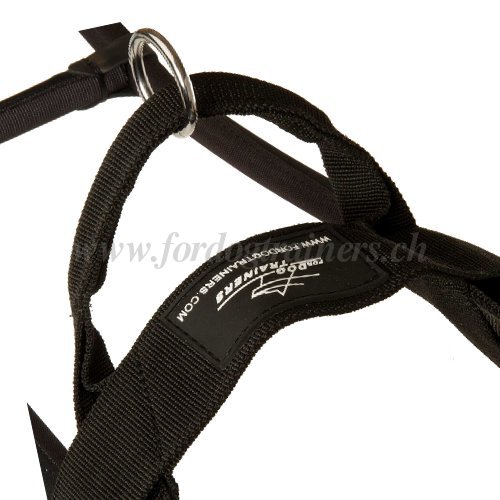 fhrgeschirr nylon Schweiz