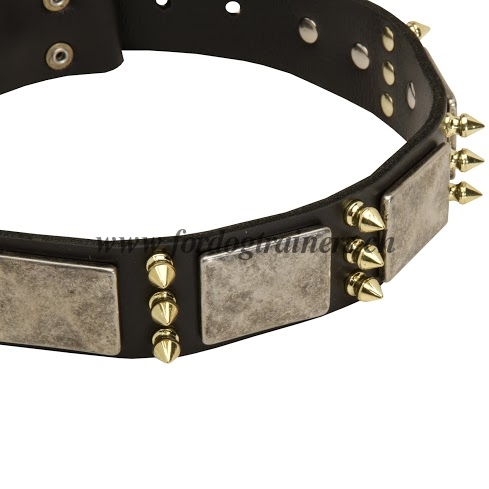 Leder Hundehalsband mit vernickelten Platten und
Messing-Spikes fr Schferhund