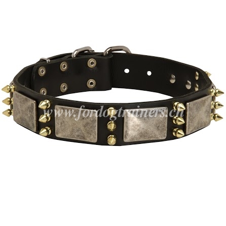 Funktionelles Schferhund Halsband Leder mit Platten und
Spikes