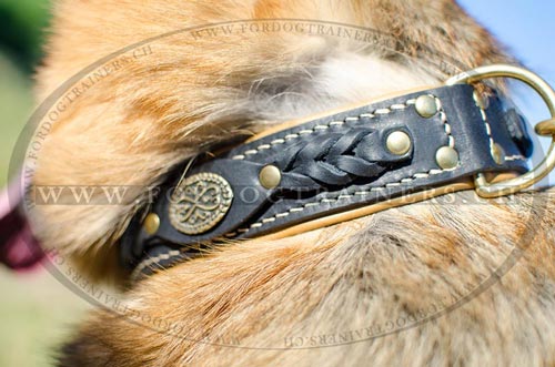 Collier fonctionnel et style pour
Berger allemand