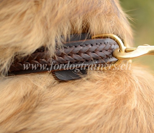 geflochtenes leder halsband Tervueren schweiz