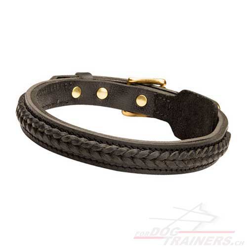  leder
halsband geflochten schweiz