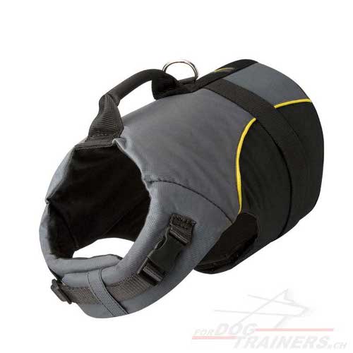 hundegeschirre nylon franzsische bulldogge
