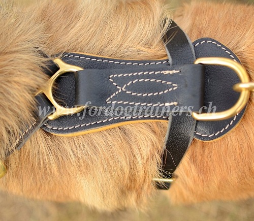 hundegeschirr nappa tervueren 